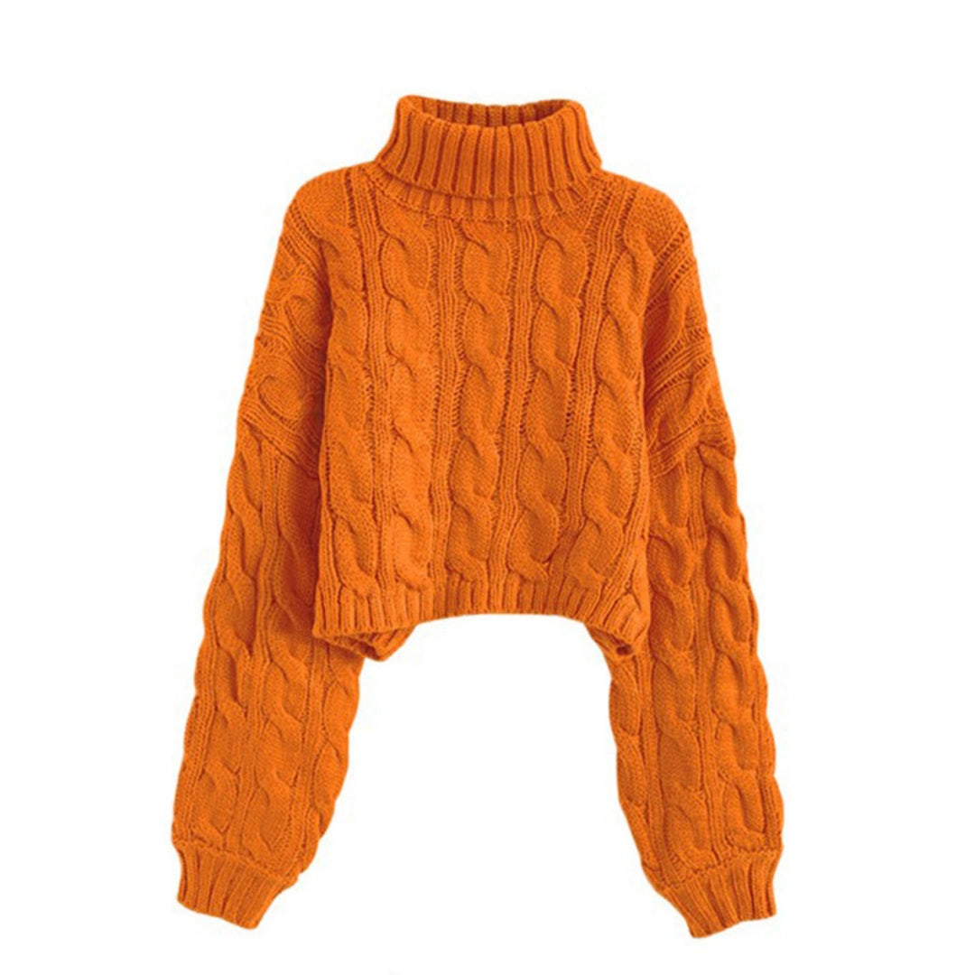 Women's Cable Knit Turtleneck Sweater
