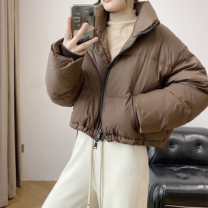 Women's Winter Puffer Jacket – Collared, Brown