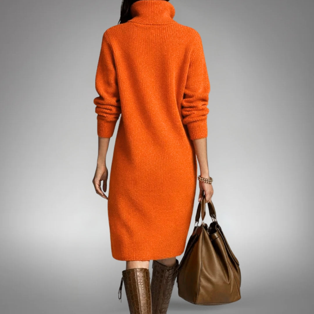 Sophisticated High Neck Dress for Women