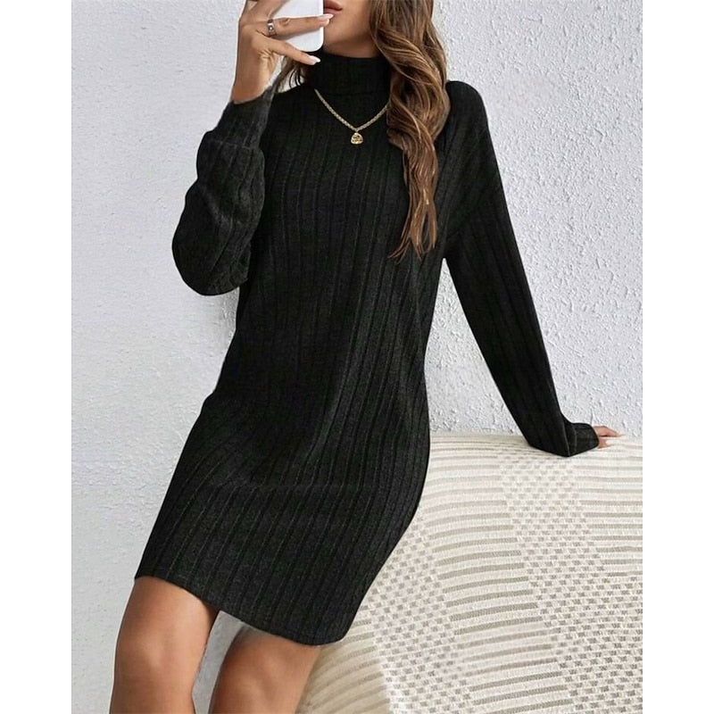 Ribbed Roll-Neck Dress for Women