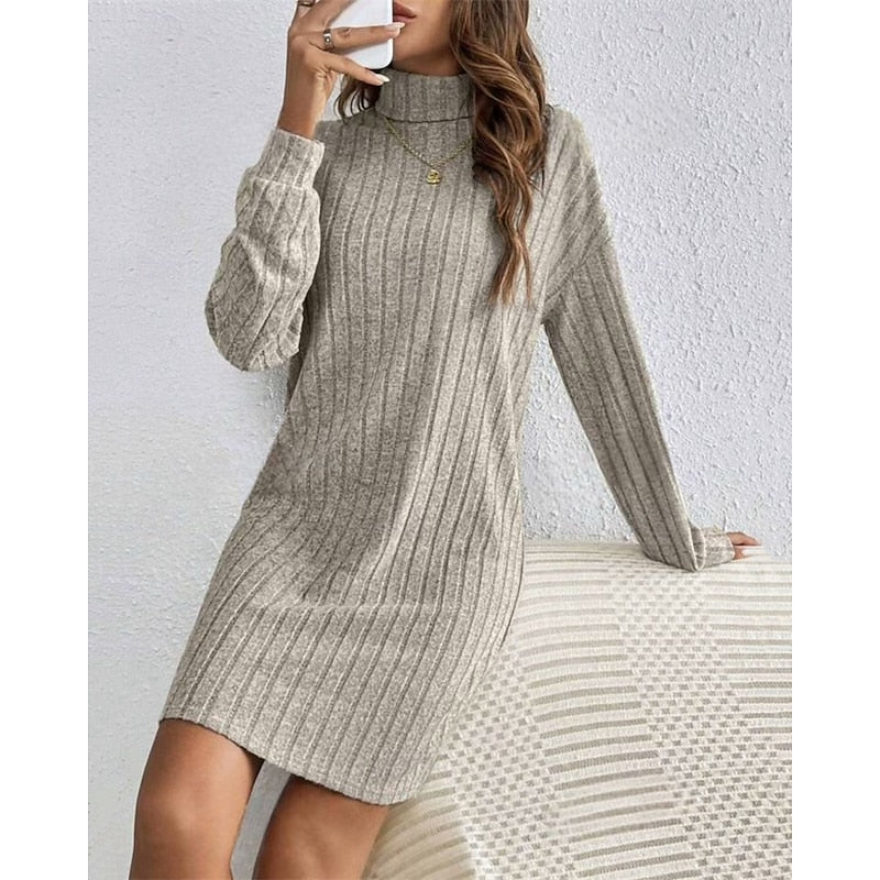 Ribbed Roll-Neck Dress for Women
