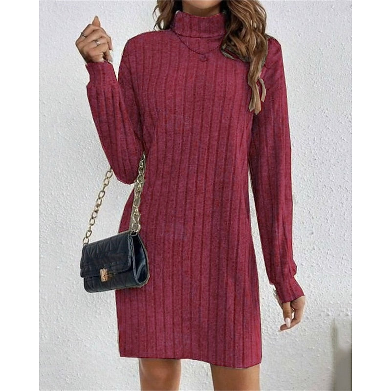 Ribbed Roll-Neck Dress for Women
