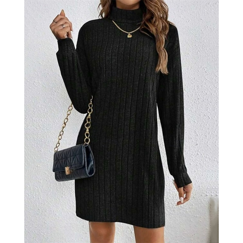 Ribbed Roll-Neck Dress for Women
